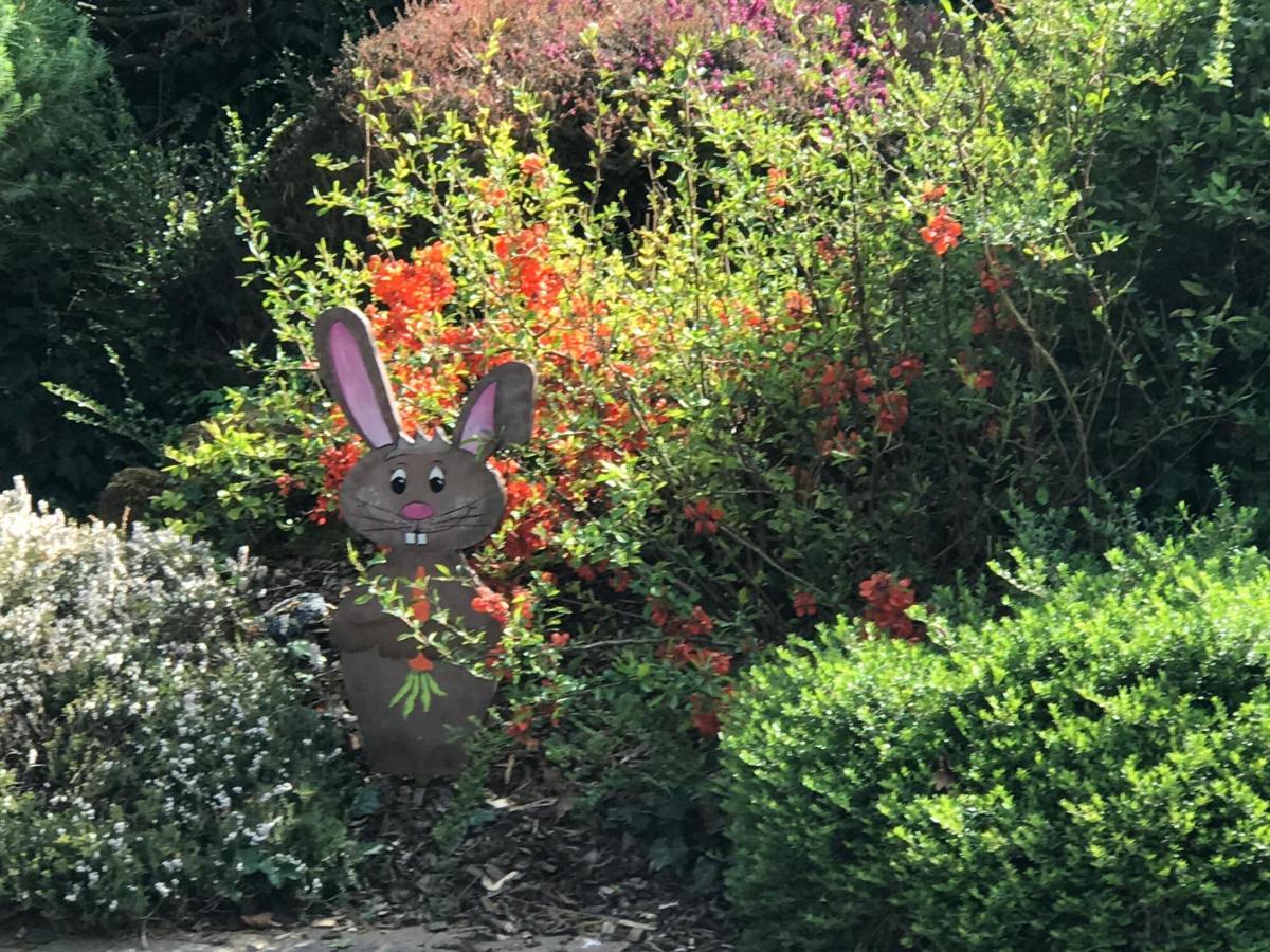 Bien Etre Et Detente Chez Cote Campagne Et Jardin Ohnenheim Exterior foto